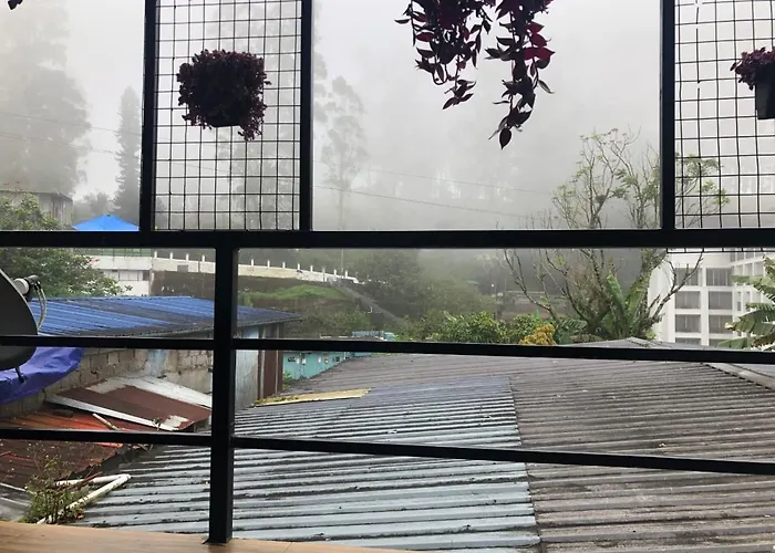 Birdwing Cottage, Munnar