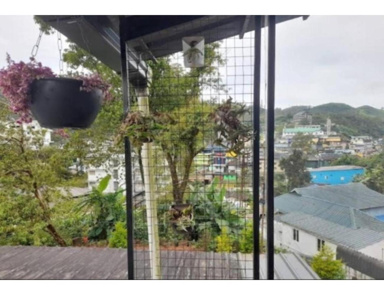 Homestay Birdwing Cottage,