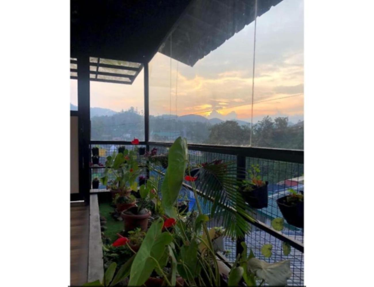 Birdwing Cottage, * Munnar