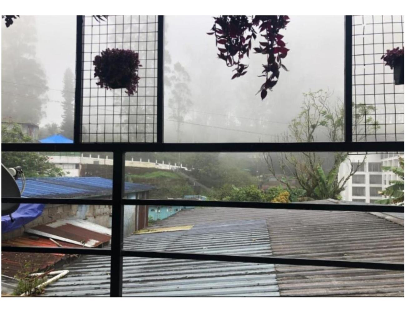 Homestay Birdwing Cottage,